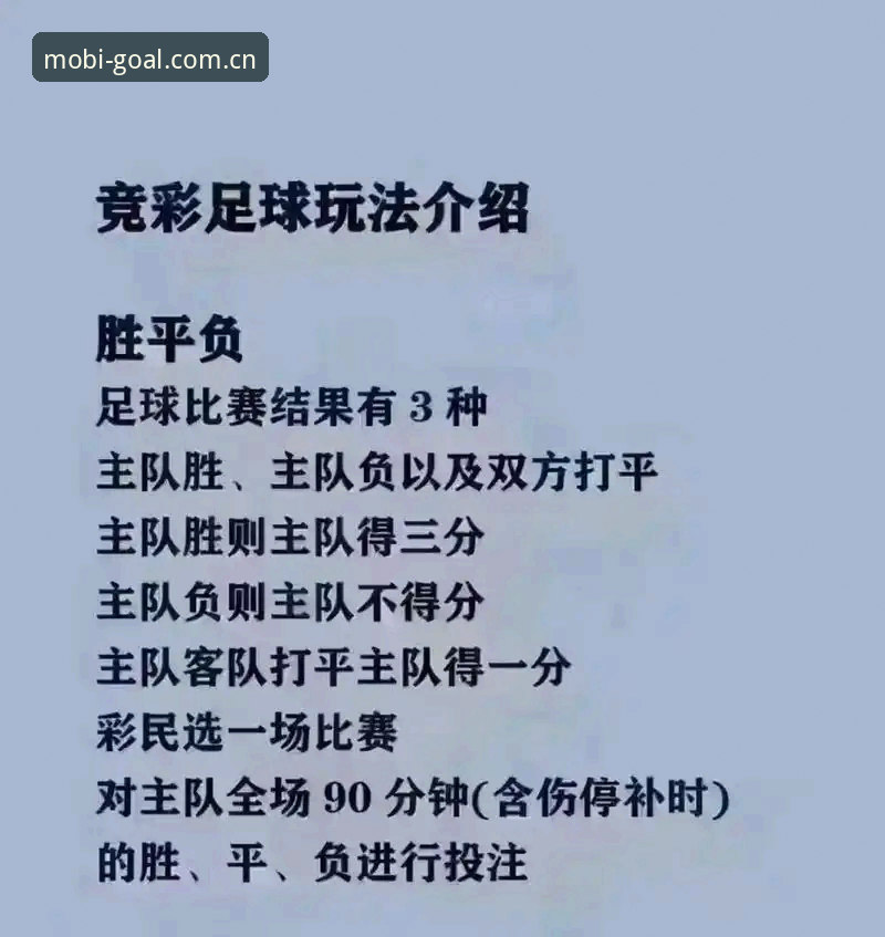 世界杯买球App选择指南：官网正版vs第三方平台全面对比分析